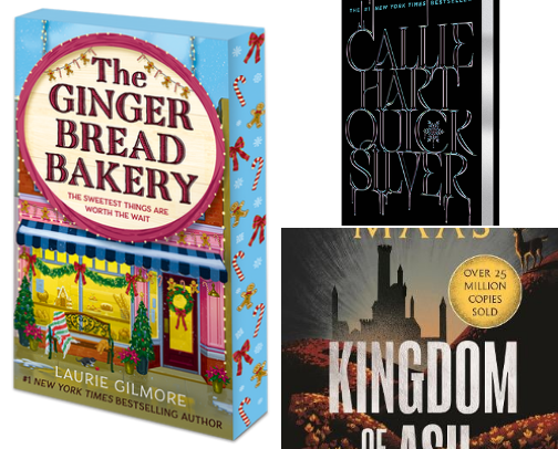 My 5⭐️ books of 2025 cover photo collage