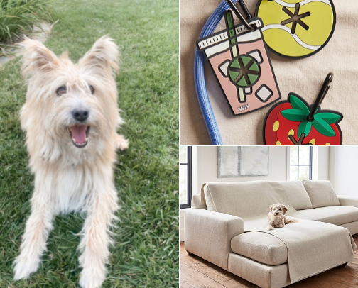 The Happy Dog List cover photo collage