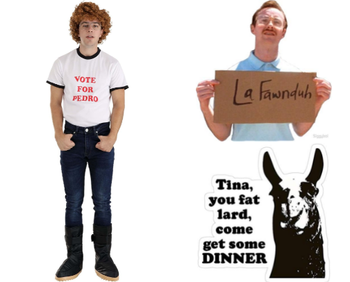 Napoleon Dynamite cover photo collage