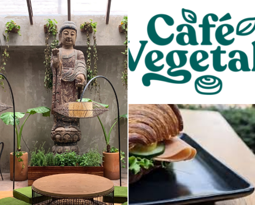 Vegan in Mexico City cover photo collage