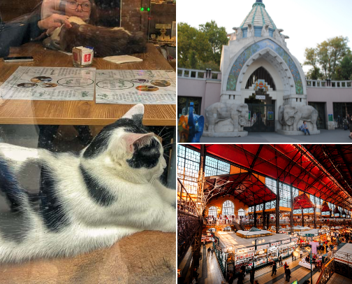 Where to next? cover photo collage