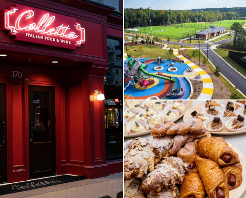 Best of Raleigh NC: My Go-To Spots cover photo collage