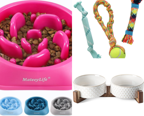 Pet Products All Pet Owners Should Have cover photo collage