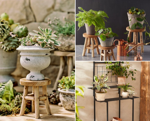 Aesthetic Indoor Plant Decor cover photo collage