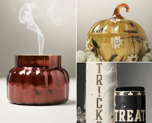 FALL FINDS cover photo collage