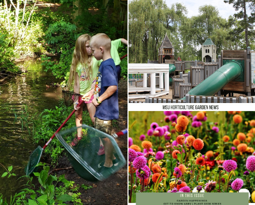 Favorite Locations cover photo collage