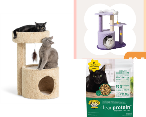 Cat Essentials Every New Cat Owner Needs cover photo collage
