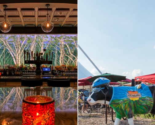 My top Fitchburg recs cover photo collage