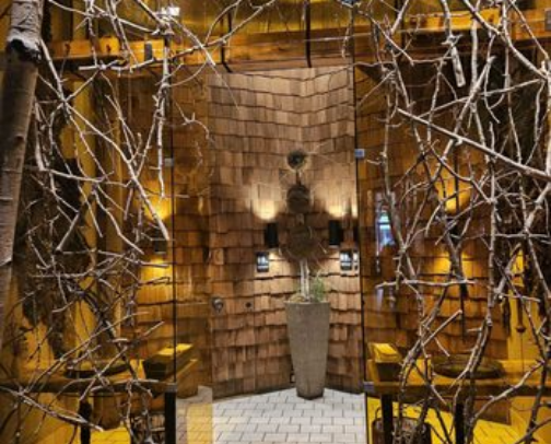 My top Denver recs cover photo collage