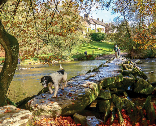 My top Tiverton recs cover photo collage