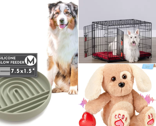 Puppy essentials🐾🤍✨ cover photo collage