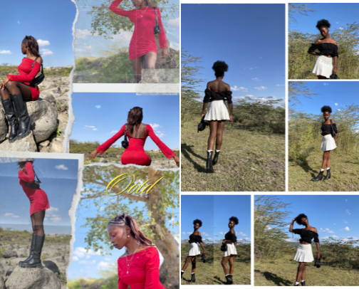 OOTD [Outfit of The Day] cover photo collage