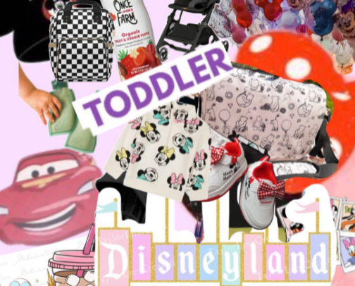 What I brought to Disney w/ a Toddler cover photo collage