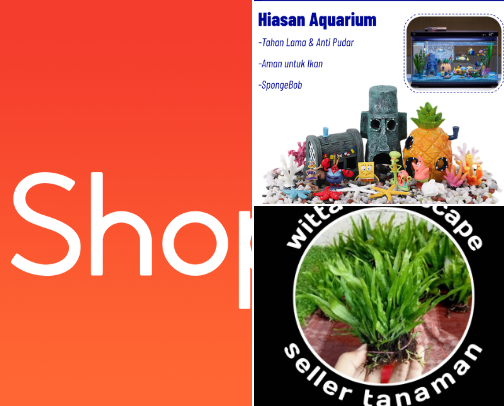 Best for Your Aquarium cover photo collage