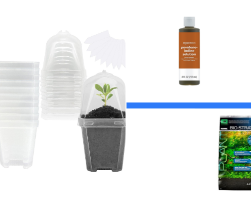 Tissue culture cover photo collage