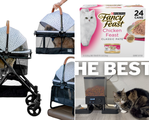 Cat Parent Recommendations cover photo collage