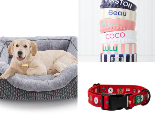 Pet Lovers cover photo collage