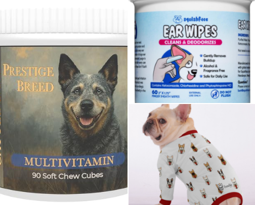 Frenchie Essentials Every Mama Needs cover photo collage