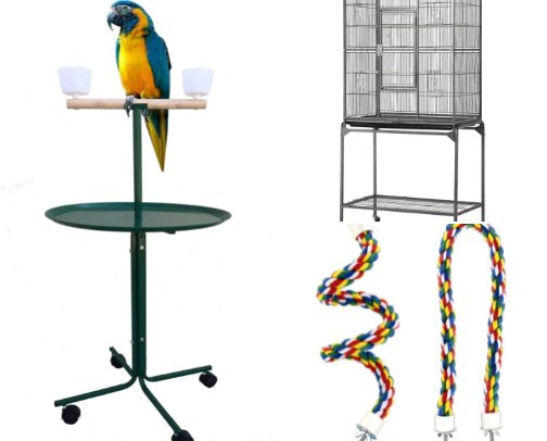 Pet supplies! cover photo collage