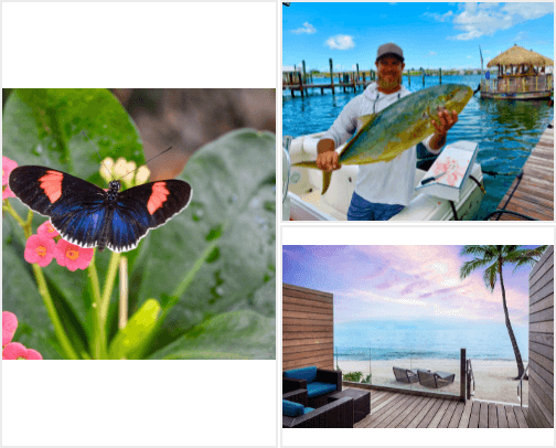 Things To Do In Key West, Florida cover photo collage