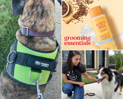 Animal Lover! cover photo collage