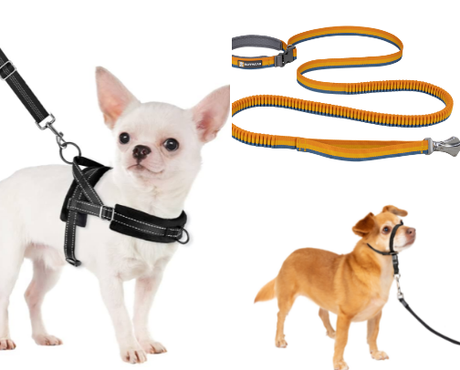 Gifts for new pet owners cover photo collage
