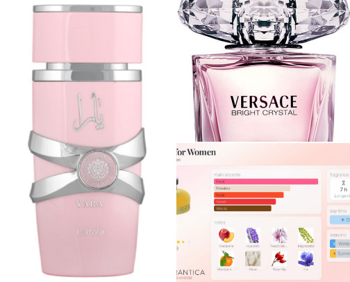 Best-Selling Perfumes You’ll Want to Wear Every Day | Top Viral & Timeless Fragrances cover photo collage
