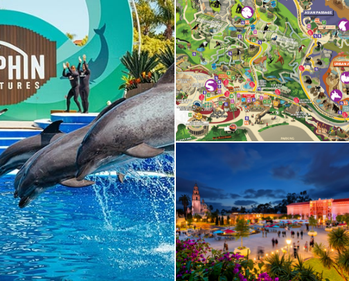 The funnest and coolest places to visit in San Diego!☀️ cover photo collage