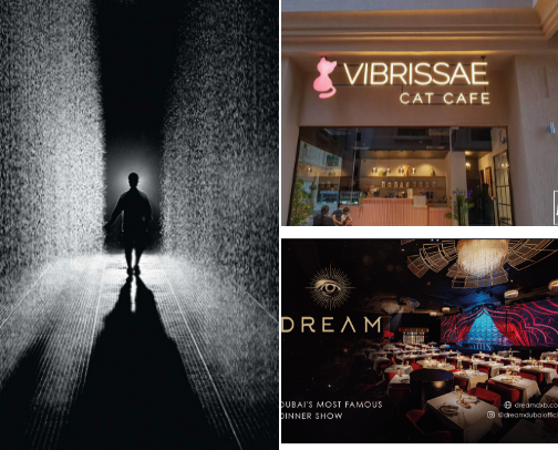 Hidden Gems OF UAE cover photo collage