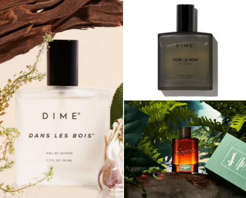 Non-Toxic Fragrances cover photo collage