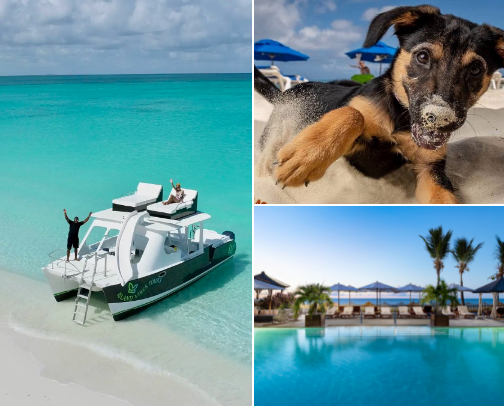 Stay, play and eat in Grace Bay, Turks and Caicos! cover photo collage