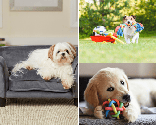 Dog Toys & Care Needs cover photo collage