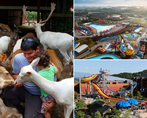 Things to do in pigeon forge worth your money! cover photo collage
