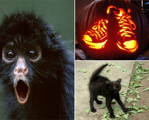 A Halloween Treat cover photo collage