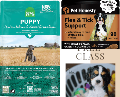 All things puppy! cover photo collage