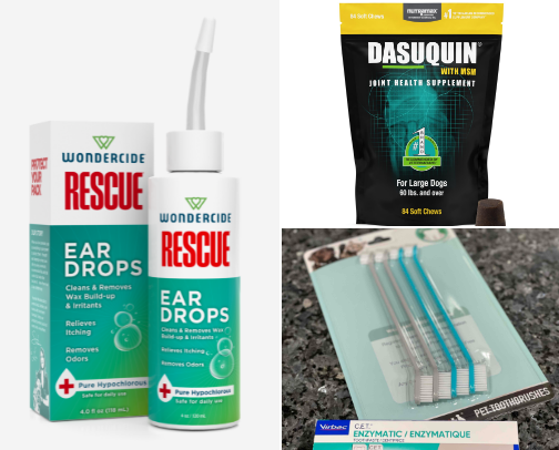 Keeping Your Dog Healthy cover photo collage