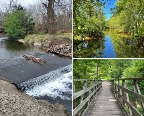 Stroller Friendly Walking Trails in Eastern PA (& if they allow fishing) cover photo collage