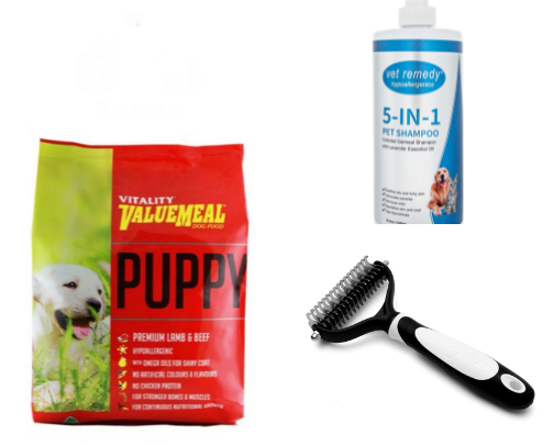Dog Care Essentials cover photo collage