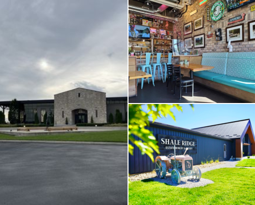 lambton shores favourites cover photo collage