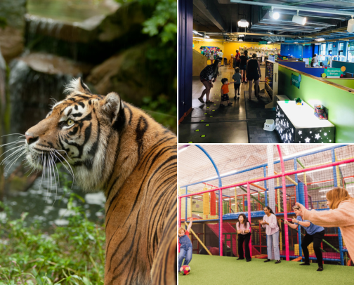 Best Things to Do With Kids in Akron & Canton, Ohio cover photo collage
