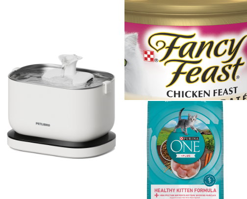 crazy (cool) cat lady cover photo collage