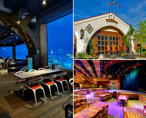 SeaWorld Orlando Best Food & Snacks: A Local's Guide to Eating Your Way Through the Marine Park cover photo collage