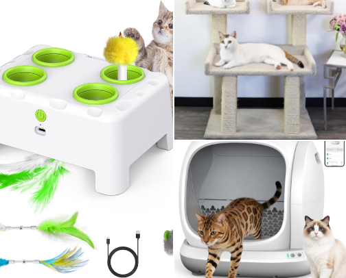 Things Cats Love cover photo collage