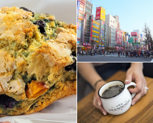 My Favorite Local Coffee Shops cover photo collage