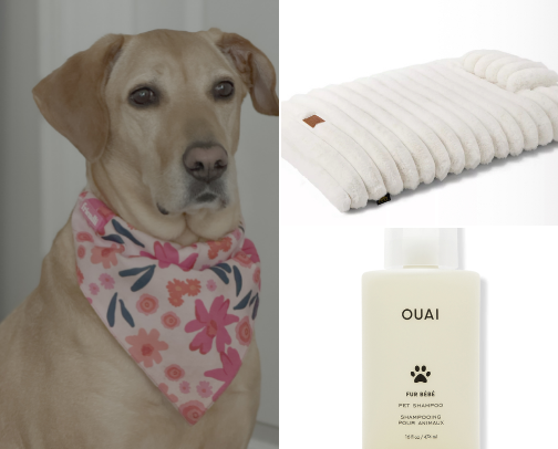 Harley’s Rosa Pet ultimate collection favorite list cover photo collage