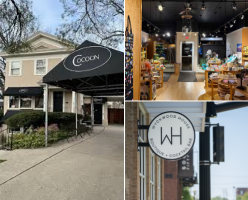 Support Small Business, Shop local🛍️ - Recs in the IL Western Suburbs cover photo collage
