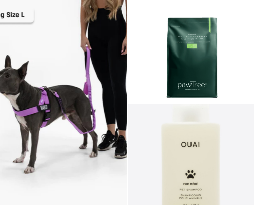 Must haves for mini goldendoodles! cover photo collage