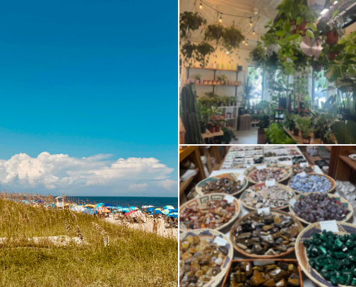 Explore North Carolina📍: My Top Picks🙌🏻 cover photo collage