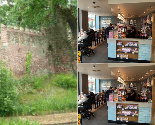 My top local recs cover photo collage