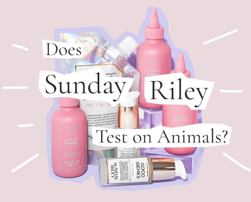 Sephora cover photo collage